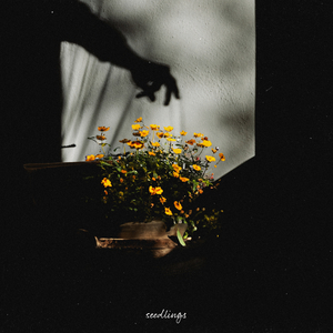 欧洲做受❌❌高潮免费看
